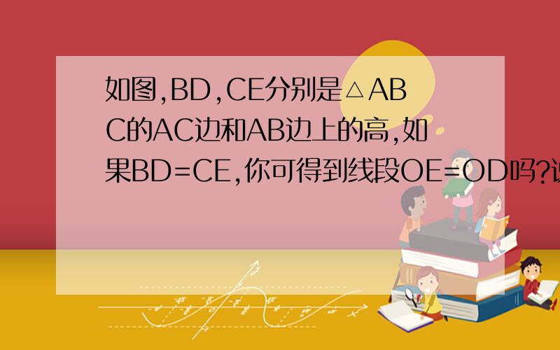 如图,BD,CE分别是△ABC的AC边和AB边上的高,如果BD=CE,你可得到线段OE=OD吗?说明理由EC和BD的交点为o