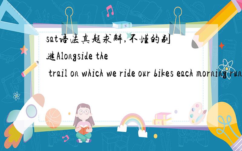 sat语法真题求解,不懂的别进Alongside the trail on which we ride our bikes each morning run a crooked line of rugged old oak trees.这里应该用runs,As rare as diamonds,some species of coral growing as deep as 200 feet beneath the sea and