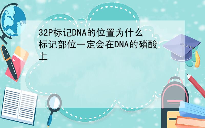32P标记DNA的位置为什么标记部位一定会在DNA的磷酸上