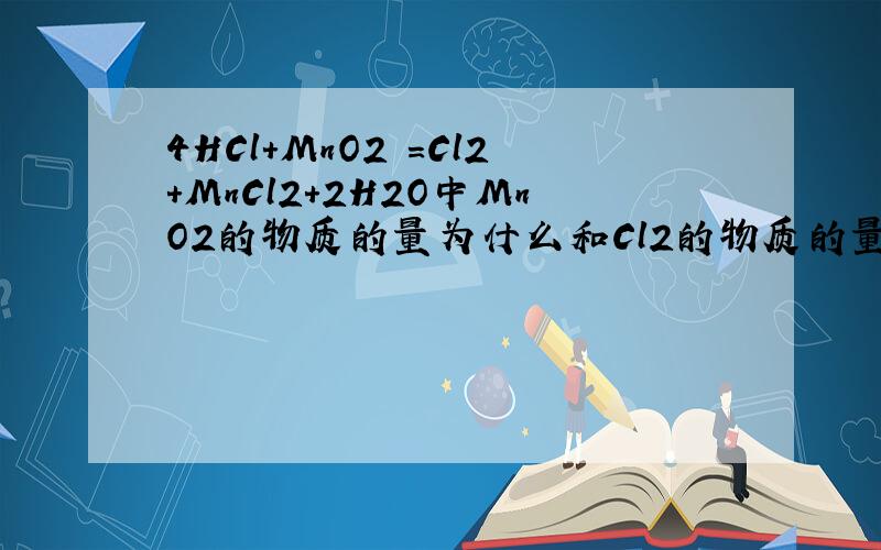 4HCl+MnO2 =Cl2+MnCl2+2H2O中MnO2的物质的量为什么和Cl2的物质的量相等