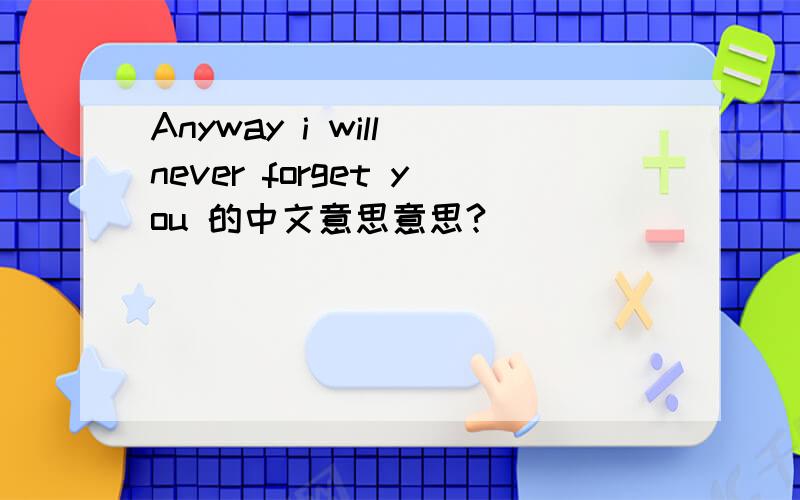 Anyway i will never forget you 的中文意思意思?
