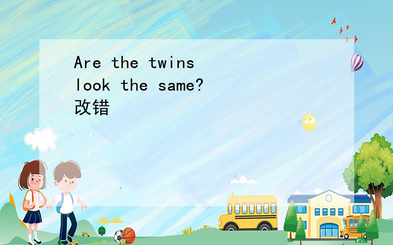 Are the twins look the same?改错