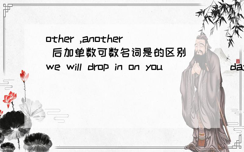 other ,another 后加单数可数名词是的区别 we will drop in on you______day.填other还是another?