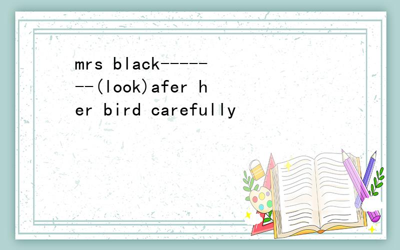 mrs black-------(look)afer her bird carefully
