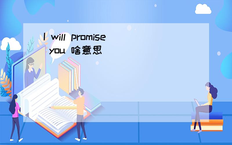 I will promise you 啥意思