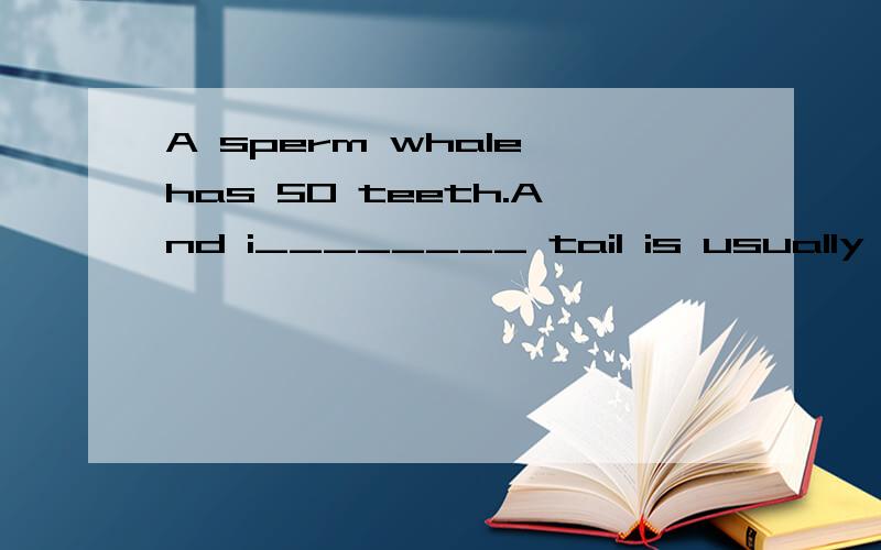 A sperm whale has 50 teeth.And i________ tail is usually 8 meters long.