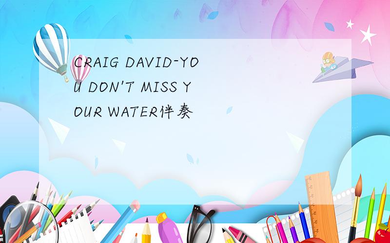 CRAIG DAVID-YOU DON'T MISS YOUR WATER伴奏