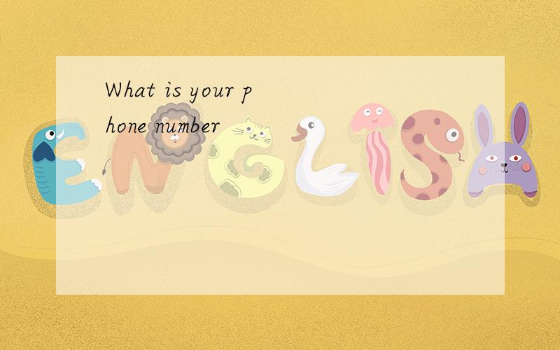 What is your phone number