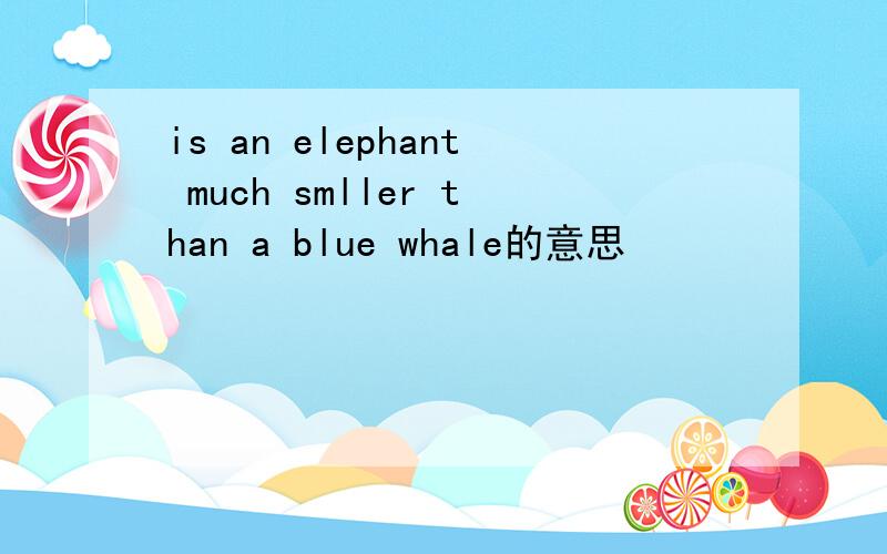 is an elephant much smller than a blue whale的意思