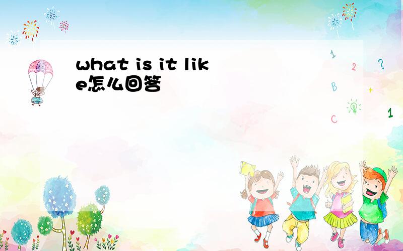 what is it like怎么回答