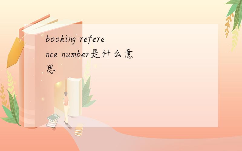 booking reference number是什么意思