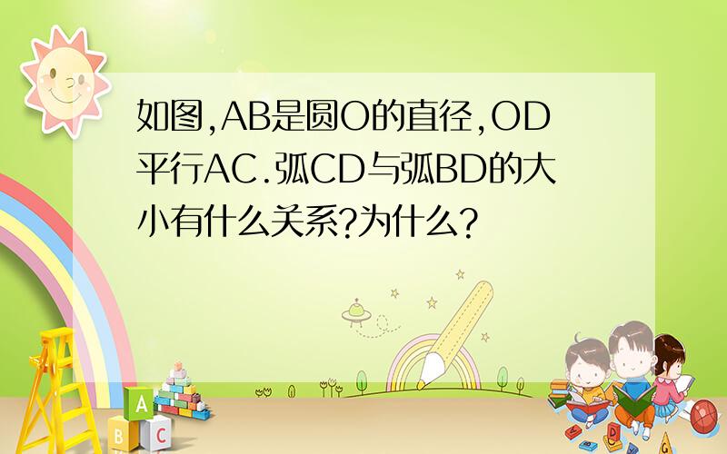 如图,AB是圆O的直径,OD平行AC.弧CD与弧BD的大小有什么关系?为什么?