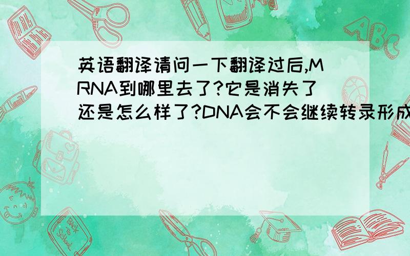 英语翻译请问一下翻译过后,MRNA到哪里去了?它是消失了还是怎么样了?DNA会不会继续转录形成新的mRNA?
