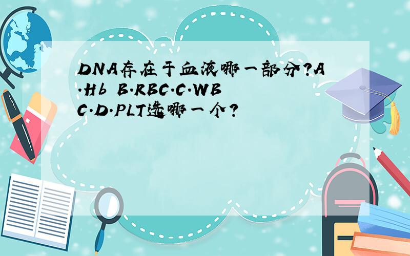 DNA存在于血液哪一部分?A.Hb B.RBC.C.WBC.D.PLT选哪一个？