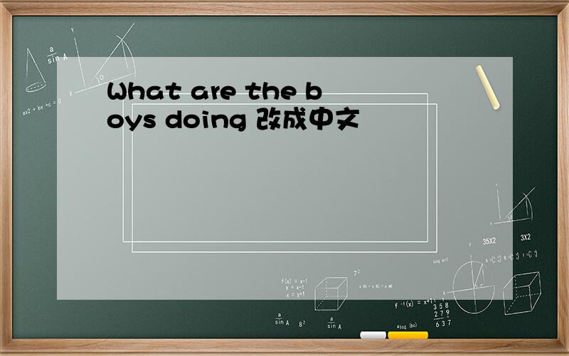 What are the boys doing 改成中文