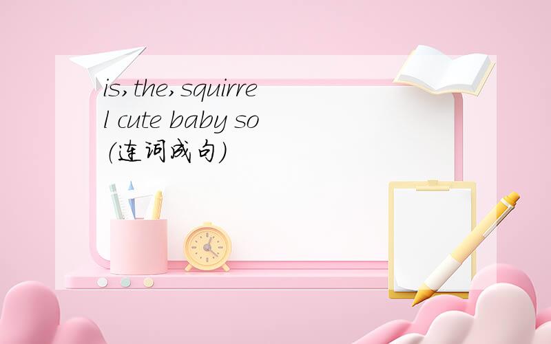 is,the,squirrel cute baby so（连词成句）