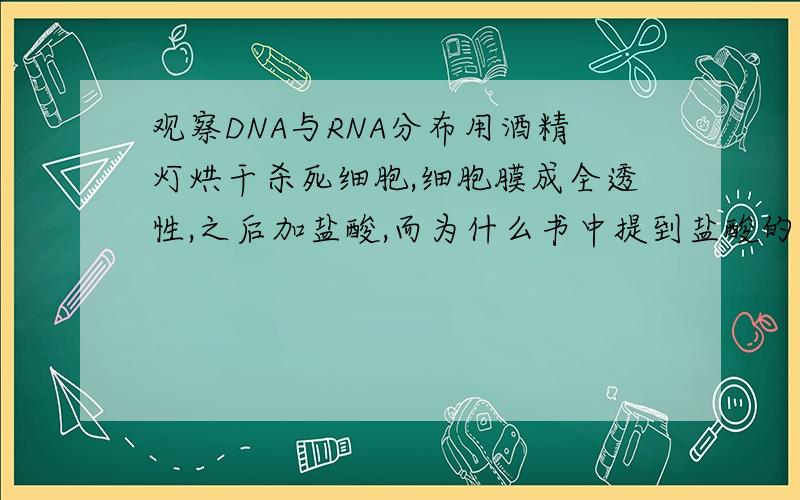 观察DNA与RNA分布用酒精灯烘干杀死细胞,细胞膜成全透性,之后加盐酸,而为什么书中提到盐酸的作用之一是改变细胞膜通透性?不是已经全透了吗?