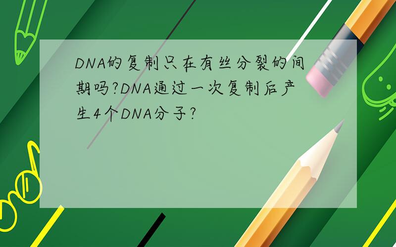 DNA的复制只在有丝分裂的间期吗?DNA通过一次复制后产生4个DNA分子?