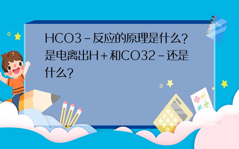 HCO3－反应的原理是什么?是电离出H＋和CO32－还是什么?