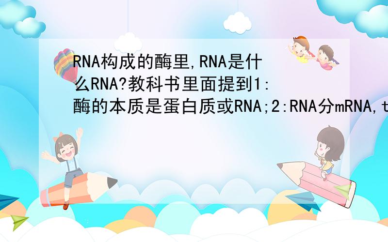 RNA构成的酶里,RNA是什么RNA?教科书里面提到1:酶的本质是蛋白质或RNA;2:RNA分mRNA,tRNA和rRNA,分别起到在转录中传递遗传信息、在转录中运输氨基酸 和 构成核糖体的作用.那么,构成酶的RNA应该属于