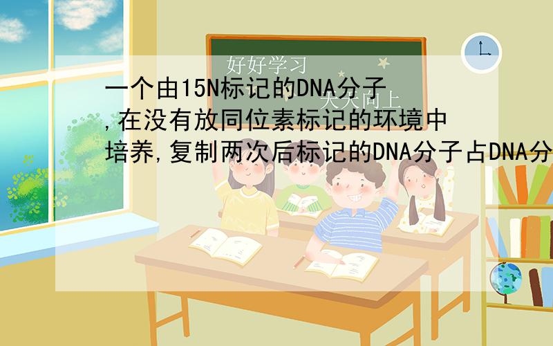 一个由15N标记的DNA分子,在没有放同位素标记的环境中培养,复制两次后标记的DNA分子占DNA分子总数的多少?答案是1/2,我算的是1/4,谁对?