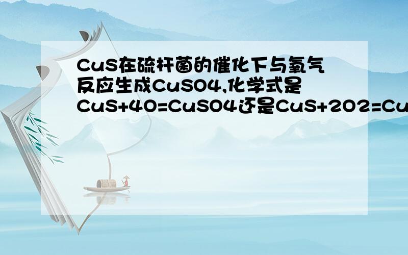 CuS在硫杆菌的催化下与氧气反应生成CuSO4,化学式是CuS+4O=CuSO4还是CuS+2O2=CuSO4?
