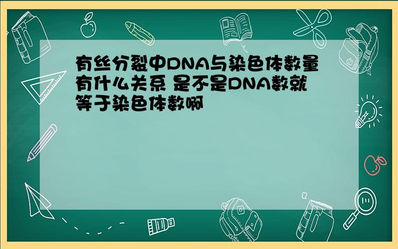 有丝分裂中DNA与染色体数量有什么关系 是不是DNA数就等于染色体数啊