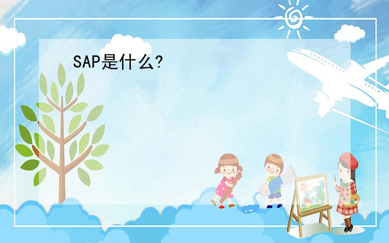 SAP是什么?