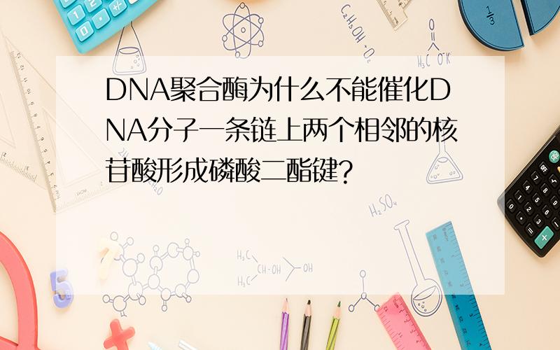 DNA聚合酶为什么不能催化DNA分子一条链上两个相邻的核苷酸形成磷酸二酯键?