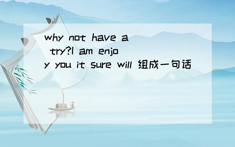 why not have a try?I am enjoy you it sure will 组成一句话