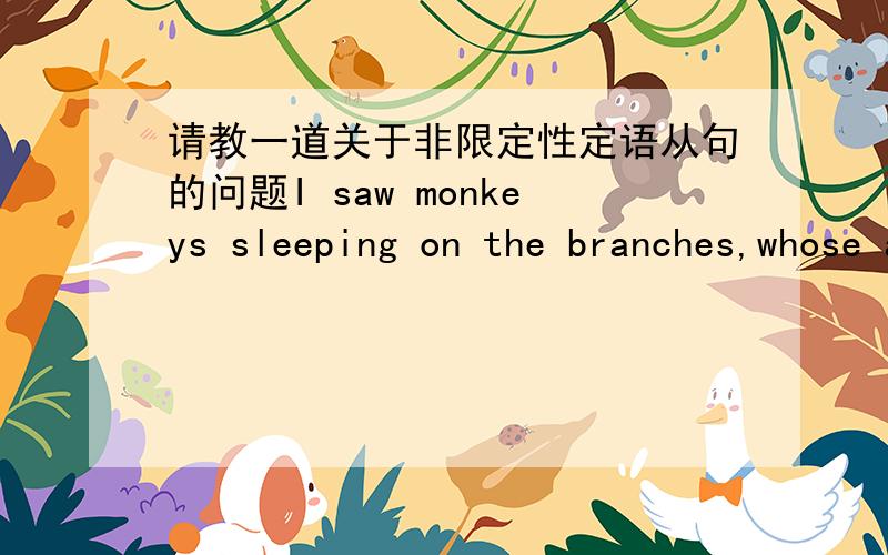 请教一道关于非限定性定语从句的问题I saw monkeys sleeping on the branches,whose arms and legs hang like socks on a clothesline.这个句子是错误的,解释是说非限定性定语从句与其逻辑修饰对象monkeys被隔离,只