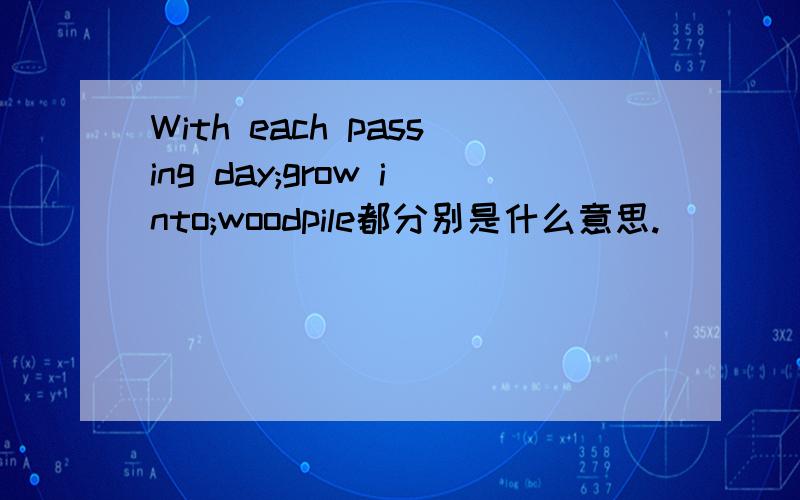 With each passing day;grow into;woodpile都分别是什么意思.
