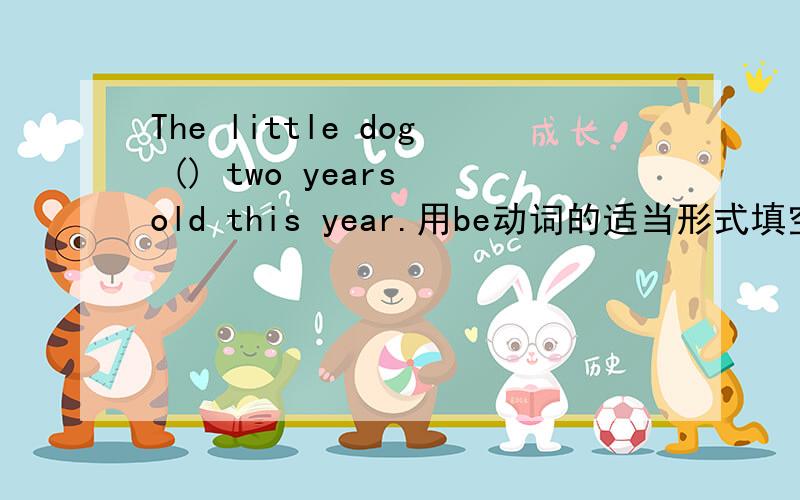 The little dog () two years old this year.用be动词的适当形式填空.