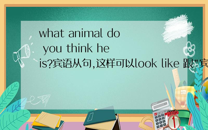 what animal do you think he is?宾语从句,这样可以look like 跟