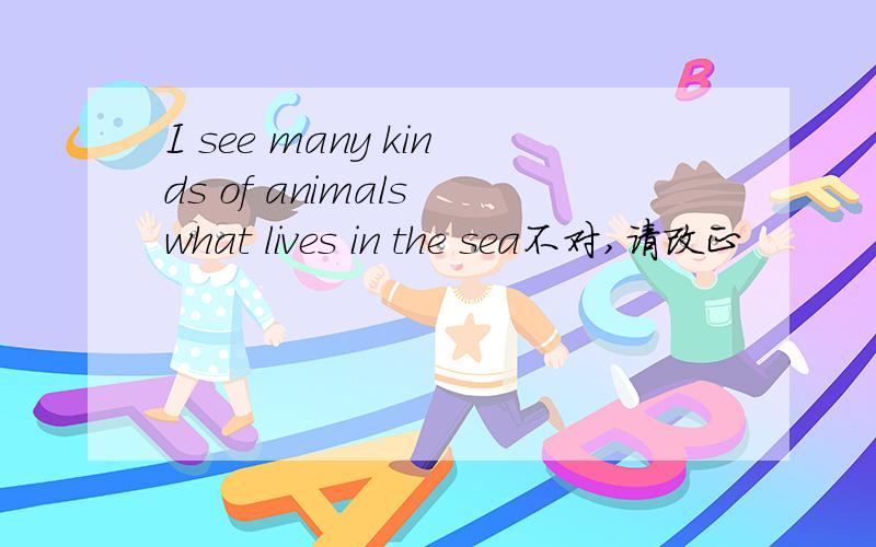 I see many kinds of animals what lives in the sea不对,请改正