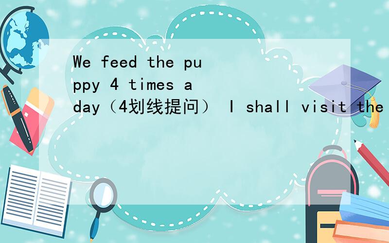 We feed the puppy 4 times a day（4划线提问） I shall visit the SPCA tomorrow（tomorrow划线提问）