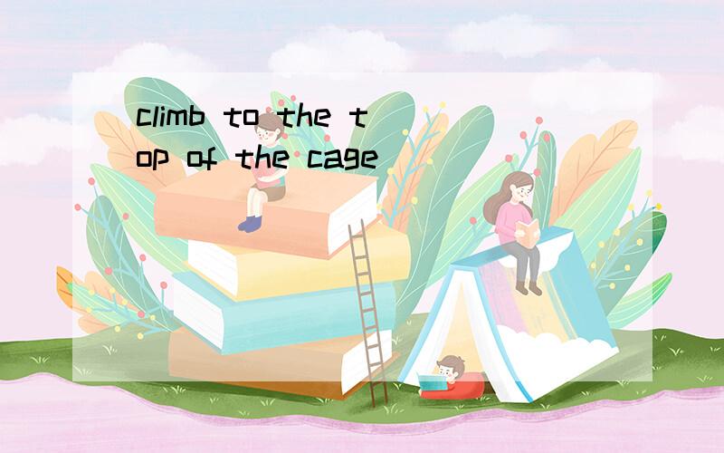 climb to the top of the cage