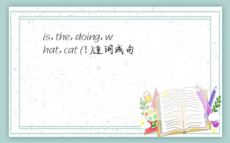 is,the,doing,what,cat(?)连词成句