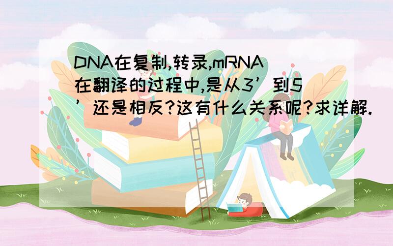 DNA在复制,转录,mRNA在翻译的过程中,是从3’到5’还是相反?这有什么关系呢?求详解.