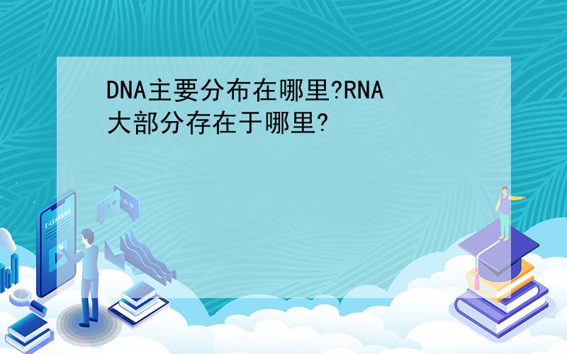 DNA主要分布在哪里?RNA大部分存在于哪里?