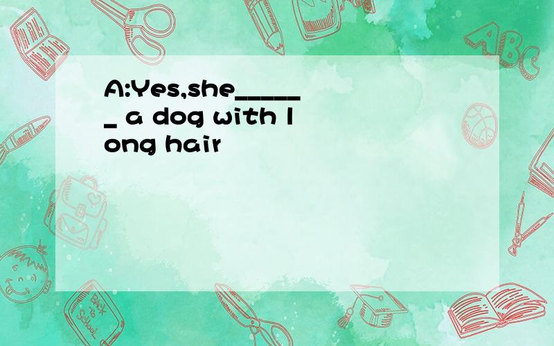 A:Yes,she______ a dog with long hair