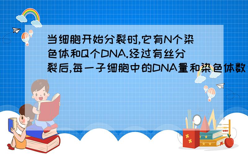 当细胞开始分裂时,它有N个染色体和Q个DNA.经过有丝分裂后,每一子细胞中的DNA量和染色体数目应为多少.细胞有丝分裂M期可以区分为：前期、前中期、中期、后期、末期、胞质分裂期.其中DNA