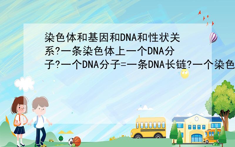 染色体和基因和DNA和性状关系?一条染色体上一个DNA分子?一个DNA分子=一条DNA长链?一个染色体决定多少性状?一个DNA包含多少信息?决定了多大程度的信息量?