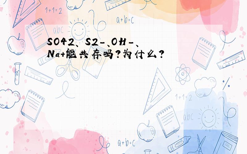 SO42、 S2-、OH-、Na+能共存吗?为什么?