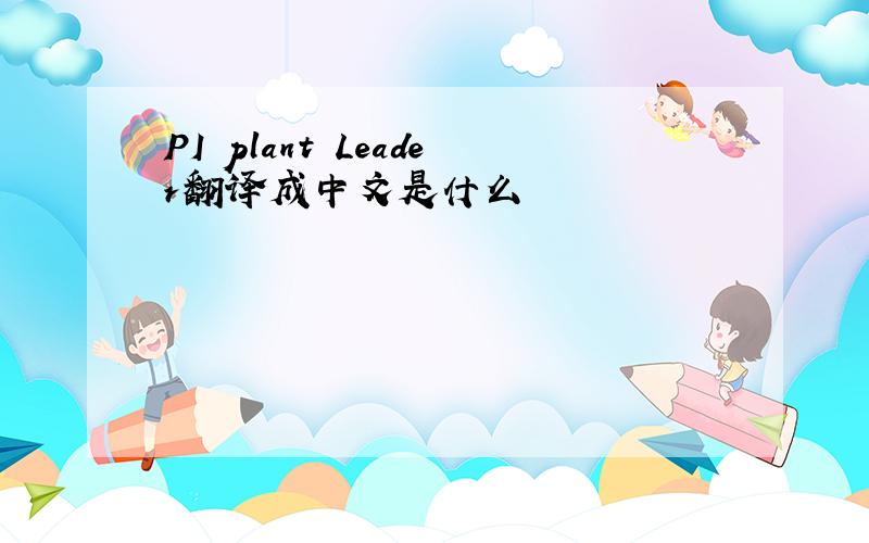 PI plant Leader翻译成中文是什么