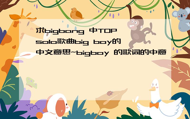 求bigbang 中TOP solo歌曲big boy的中文意思~bigboy 的歌词的中意