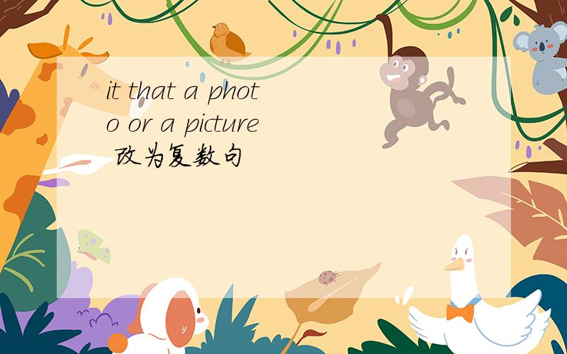 it that a photo or a picture 改为复数句