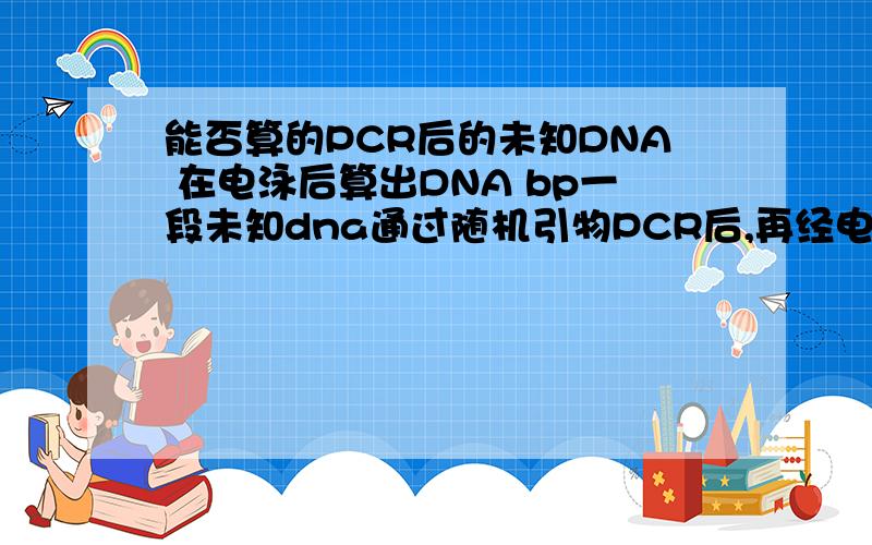 能否算的PCR后的未知DNA 在电泳后算出DNA bp一段未知dna通过随机引物PCR后,再经电泳得出条带,能否算出其未知DNA的Bp,公式是什么?