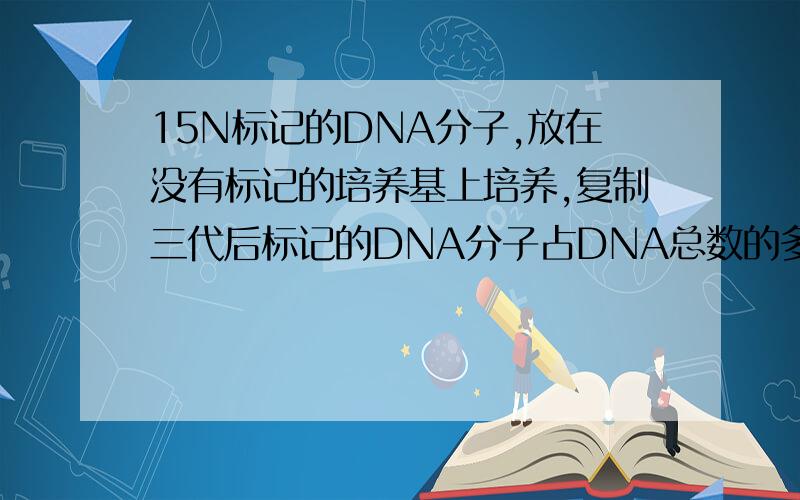 15N标记的DNA分子,放在没有标记的培养基上培养,复制三代后标记的DNA分子占DNA总数的多少?标记的链占全部DNA单链的多少?