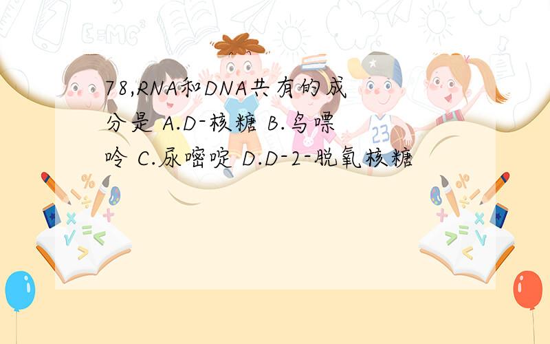 78,RNA和DNA共有的成分是 A.D-核糖 B.鸟嘌呤 C.尿嘧啶 D.D-2-脱氧核糖